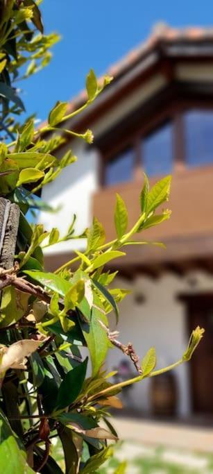 La Casa 44, Con Spa Opcional Sariego Ngoại thất bức ảnh